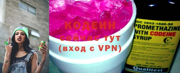 шишки Богородицк