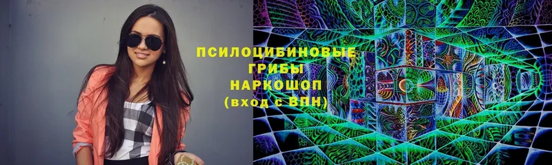 Галлюциногенные грибы MAGIC MUSHROOMS  Урюпинск 